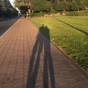 Meet your Posher, Maggie